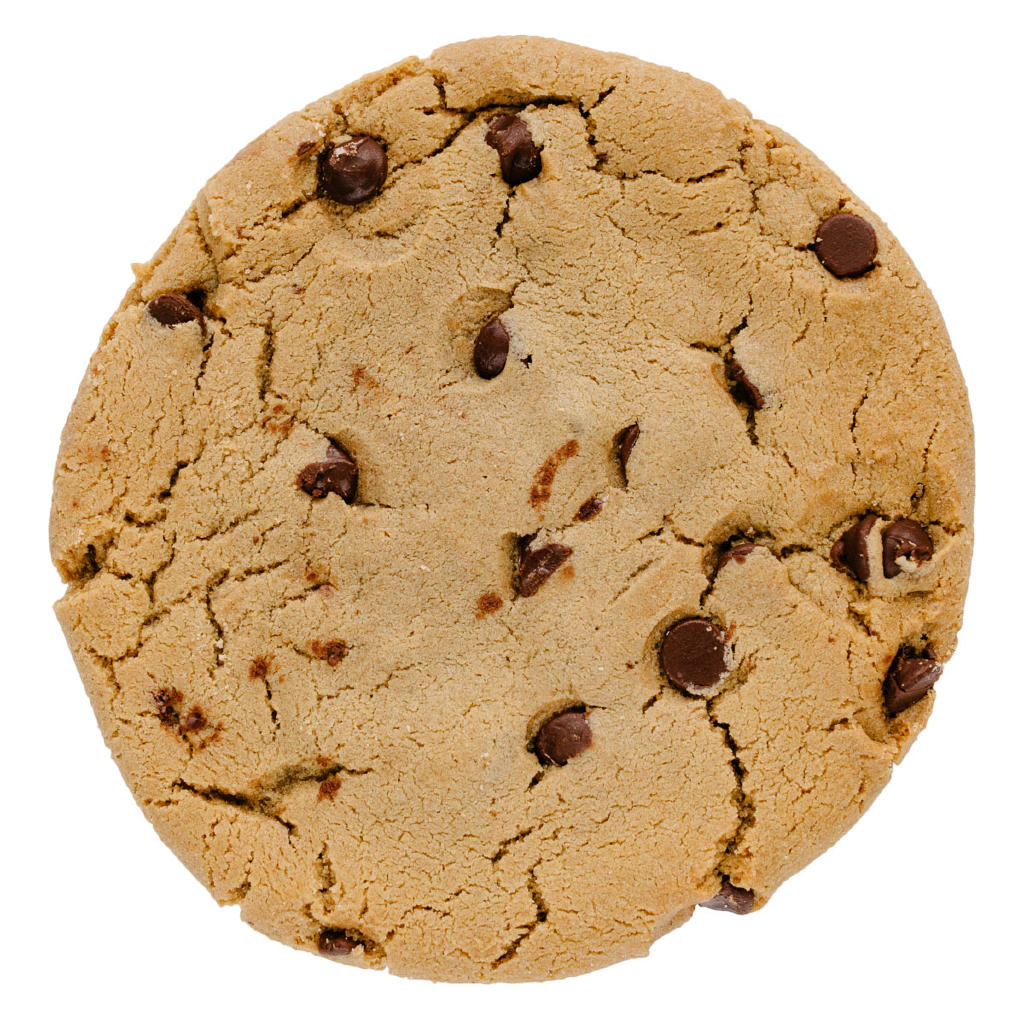 Chocolate Chip T-Rex Cookie by Gregory's Foods, Eagan, Minnesota