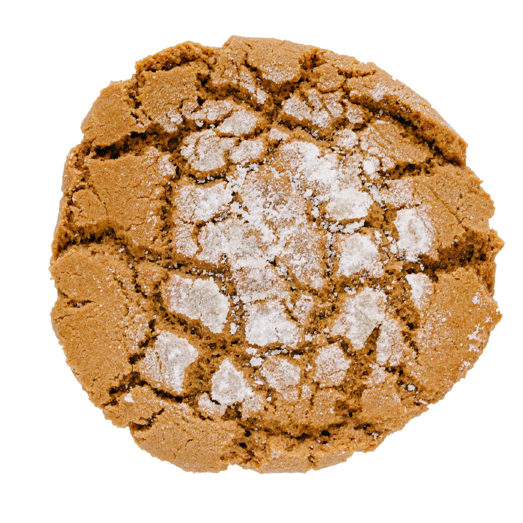 Peanut Butter T-Rex Cookie by Gregory's Foods, St. Paul, Minnesota