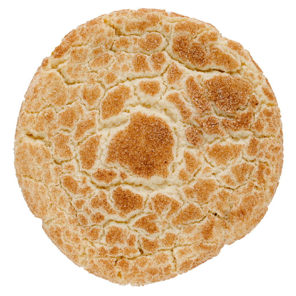 Snicker Doodle T-Rex Cookie by Gregory's Foods in Eagan, Minnesota